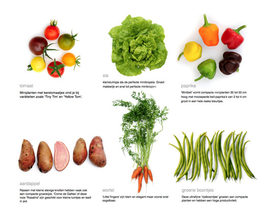 mini-groenten